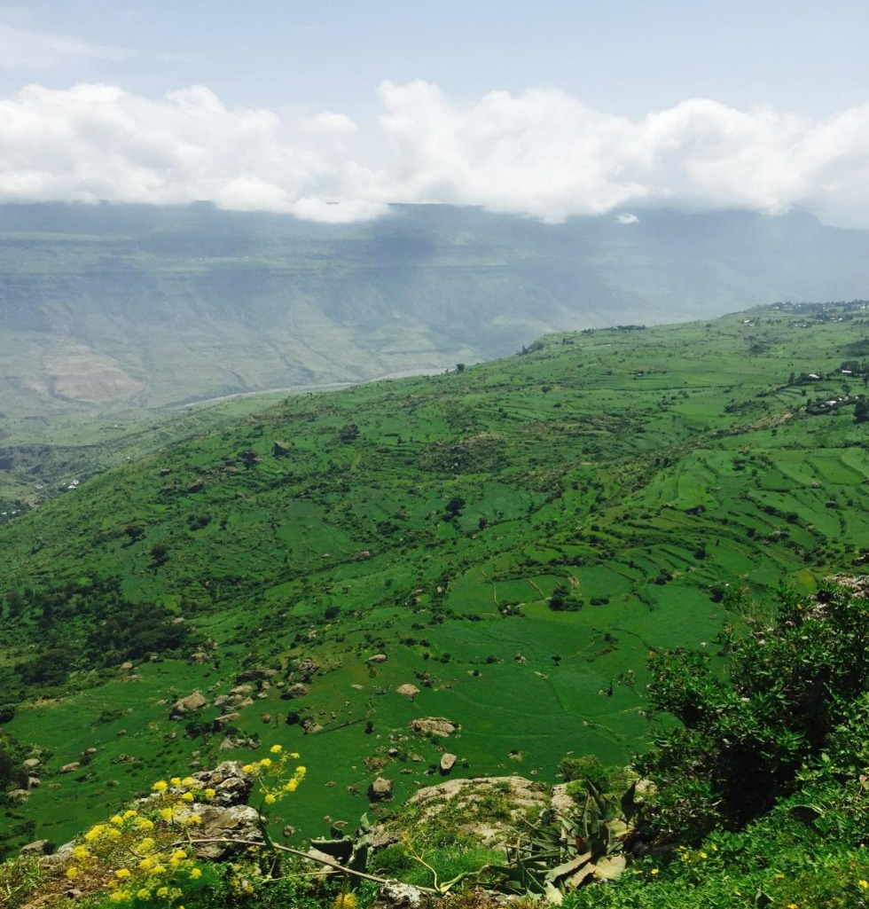 D:\交接表\照片匯總\國(guó)管部\經(jīng)管部\埃塞自然風(fēng)光\Potuguese Bridge波季奇大橋\702810235695173913.jpg